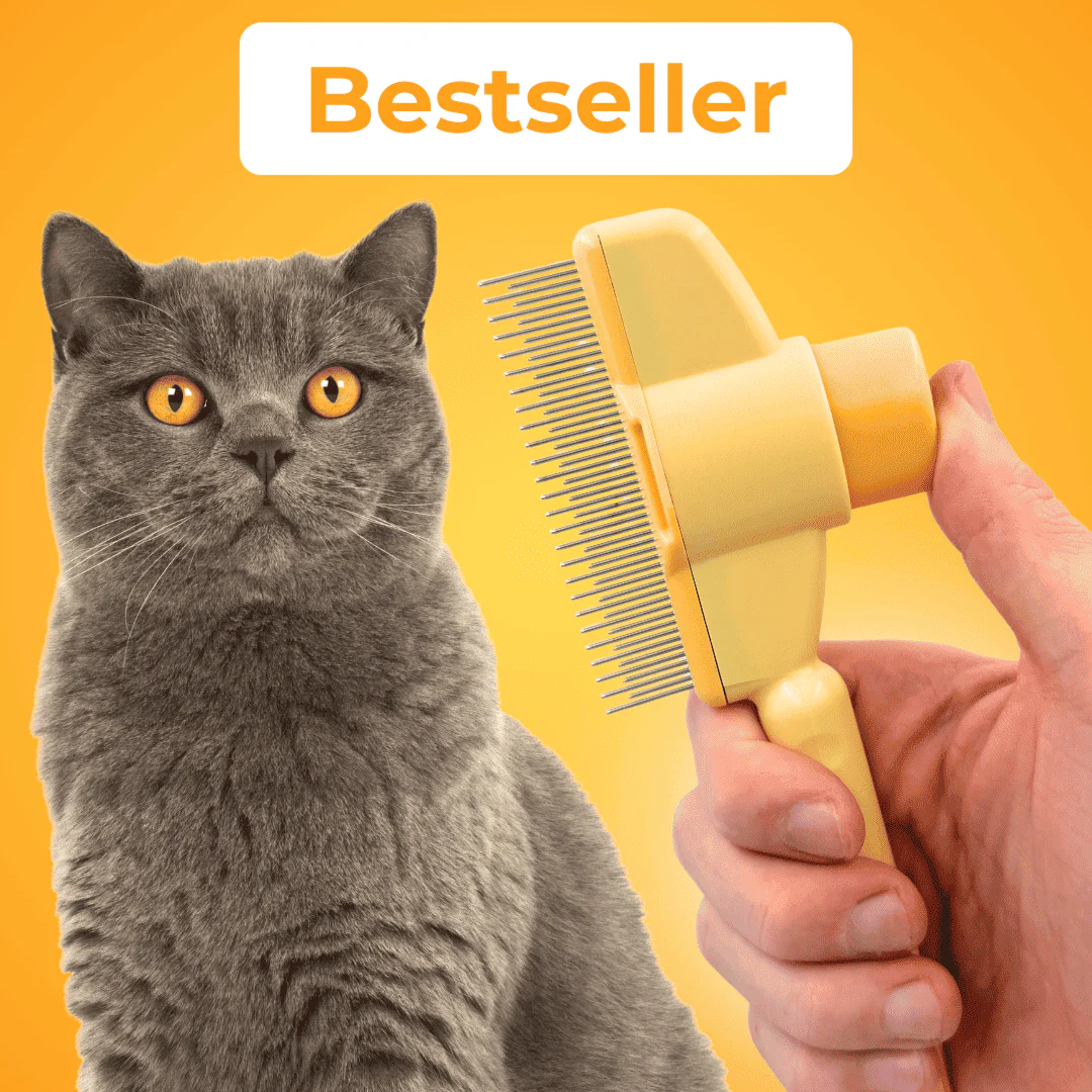 Oster-Sale