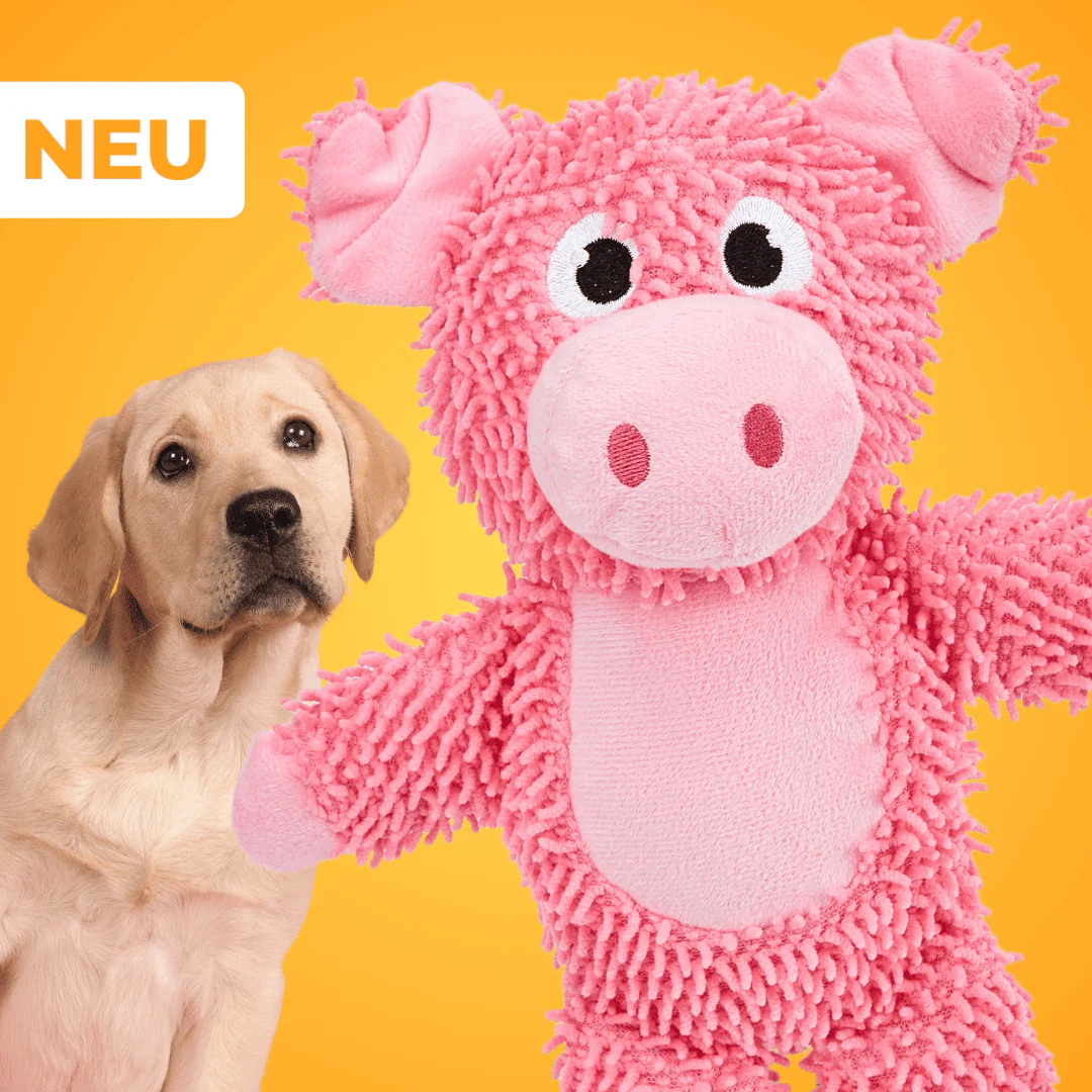 Hundeprodukte